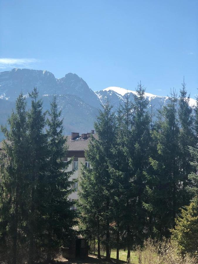 Vektron Lägenhet Zakopane Exteriör bild